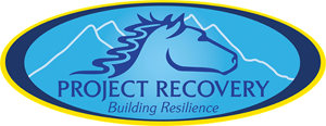 project recovery